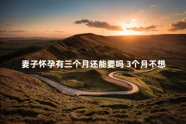 妻子怀孕有三个月还能要吗 3个月不想要孩子能处理了吗